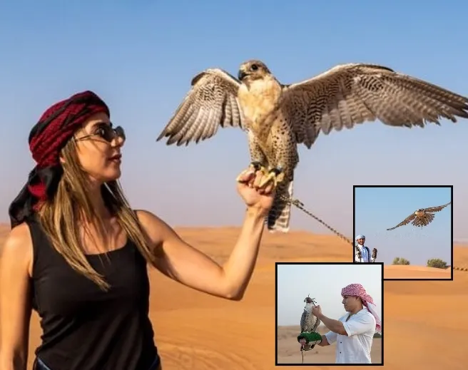 Falcon Show Desert Safari Dubai